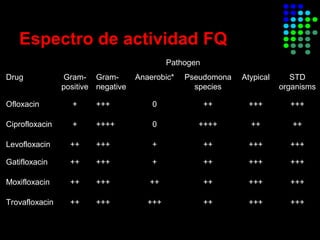 * Only moxifloxacin and trovafloxacin produce nefable anaerobic activity
Drug Gram-
positive
Gram-
negative
Anaerobic* Pseudomona
species
Atypical STD
organisms
Ofloxacin + +++ 0 ++ +++ +++
Ciprofloxacin + ++++ 0 ++++ ++ ++
Levofloxacin ++ +++ + ++ +++ +++
Pathogen
Gatifloxacin ++ +++ + ++ +++ +++
Moxifloxacin ++ +++ ++ ++ +++ +++
Trovafloxacin ++ +++ +++ ++ +++ +++
Espectro de actividad FQ
 