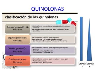 GRAM - GRAM
-
GRAM
+
QUINOLONAS
 