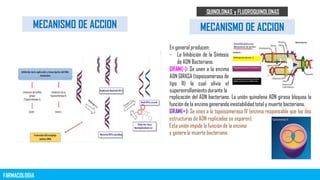FARMACOLOGIA CLASIFICACION DE QUINOLONAS Y FLUOROQUINOLONAS | PDF