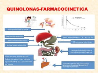 QUINOLONAS-FARMACOCINETICA
 