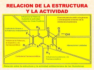 RELACION DE LA ESTRUCTURA
Y LA ACTIVIDAD
 