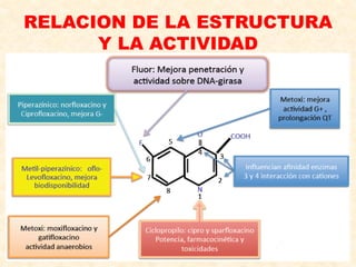 RELACION DE LA ESTRUCTURA
Y LA ACTIVIDAD
 