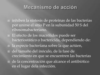  inhiben la síntesis de proteínas de las bacterias
por unirse el sitio P en la subunidad 50 S del
ribosomabacteriano.
 El efecto de los macrólidos puede ser
bacteriostático o bactericida, dependiendo de:
 la especie bacteriana sobre la que actúen,
 del tamaño del inóculo, de la fase de
crecimiento en que se encuentren las bacterias
 de la concentración que alcance el antibiótico
en el lugar dela infección.
 