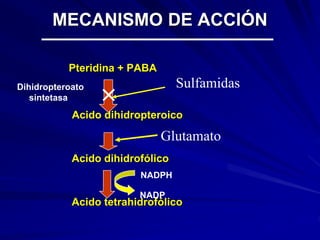MECANISMO DE ACCIÓN
Pteridina + PABA
Acido dihidropteroico
Acido dihidrofólico
Acido tetrahidrofólico
Glutamato
×
Sulfamidas
Dihidropteroato
sintetasa
NADPH
NADP
 