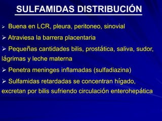  Buena en LCR, pleura, peritoneo, sinovial
 Atraviesa la barrera placentaria
 Pequeñas cantidades bilis, prostática, saliva, sudor,
lágrimas y leche materna
 Penetra meninges inflamadas (sulfadiazina)
 Sulfamidas retardadas se concentran hígado,
excretan por bilis sufriendo circulación enterohepática
SULFAMIDAS DISTRIBUCIÓN
 