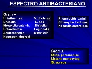 Gram –
H. influenzae V. cholerae
Brucella E. coli
Moraxella catarrh. Shigella
Enterobacter Legionella
Acinetobacter Klebsiella
Haemoph. ducreyi
Gram +
Strep. pneumoniae
Listeria monocytog.
St. aureus
Pneumocitis carini
Chlamydia trachom.
Nocardia asteroides
ESPECTRO ANTIBACTERIANO
 
