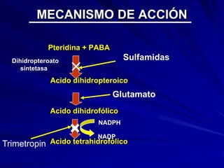 MECANISMO DE ACCIÓN
Pteridina + PABA
Acido dihidropteroico
Acido dihidrofólico
Acido tetrahidrofólico
×
Glutamato
×
Sulfamidas
Dihidropteroato
sintetasa
NADPH
NADP
Trimetropin
 