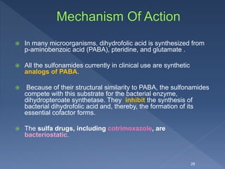  In many microorganisms, dihydrofolic acid is synthesized from
p-aminobenzoic acid (PABA), pteridine, and glutamate .
 All the sulfonamides currently in clinical use are synthetic
analogs of PABA.
 Because of their structural similarity to PABA, the sulfonamides
compete with this substrate for the bacterial enzyme,
dihydropteroate synthetase. They inhibit the synthesis of
bacterial dihydrofolic acid and, thereby, the formation of its
essential cofactor forms.
 The sulfa drugs, including cotrimoxazole, are
bacteriostatic.
28
 