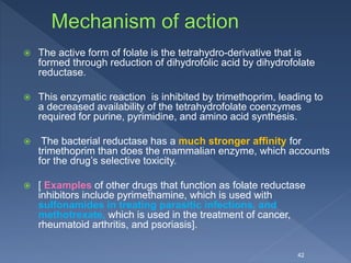  The active form of folate is the tetrahydro-derivative that is
formed through reduction of dihydrofolic acid by dihydrofolate
reductase.
 This enzymatic reaction is inhibited by trimethoprim, leading to
a decreased availability of the tetrahydrofolate coenzymes
required for purine, pyrimidine, and amino acid synthesis.
 The bacterial reductase has a much stronger affinity for
trimethoprim than does the mammalian enzyme, which accounts
for the drug’s selective toxicity.
 [ Examples of other drugs that function as folate reductase
inhibitors include pyrimethamine, which is used with
sulfonamides in treating parasitic infections, and
methotrexate, which is used in the treatment of cancer,
rheumatoid arthritis, and psoriasis].
42
 
