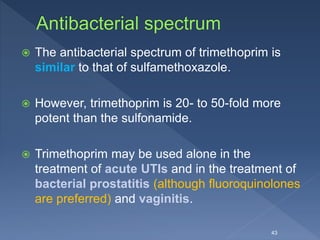  The antibacterial spectrum of trimethoprim is
similar to that of sulfamethoxazole.
 However, trimethoprim is 20- to 50-fold more
potent than the sulfonamide.
 Trimethoprim may be used alone in the
treatment of acute UTIs and in the treatment of
bacterial prostatitis (although fluoroquinolones
are preferred) and vaginitis.
43
 