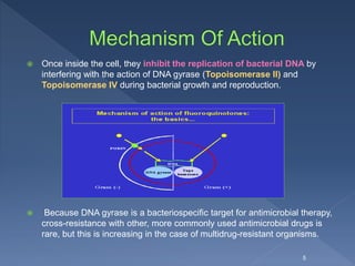  Once inside the cell, they inhibit the replication of bacterial DNA by
interfering with the action of DNA gyrase (Topoisomerase II) and
Topoisomerase IV during bacterial growth and reproduction.
 Because DNA gyrase is a bacteriospecific target for antimicrobial therapy,
cross-resistance with other, more commonly used antimicrobial drugs is
rare, but this is increasing in the case of multidrug-resistant organisms.
5
 