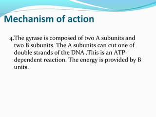 Mechanism of action
4.The gyrase is composed of two A subunits and
two B subunits. The A subunits can cut one of
double strands of the DNA .This is an ATP-
dependent reaction. The energy is provided by B
units.
 
