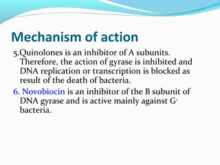 Mechanism of action
5.Quinolones is an inhibitor of A subunits.
Therefore, the action of gyrase is inhibited and
DNA replication or transcription is blocked as
result of the death of bacteria.
6. Novobiocin is an inhibitor of the B subunit of
DNA gyrase and is active mainly against G+
bacteria.
 
