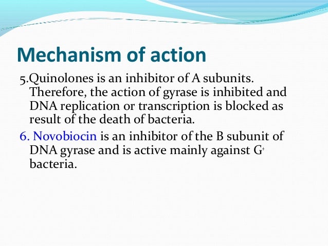 Quinolones Quinolones