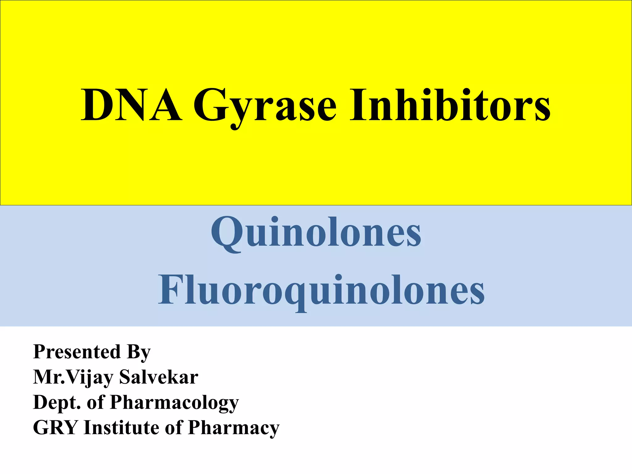 DNA Gyrase Inhibitors Quinolones,Fluoroquinolones PPT