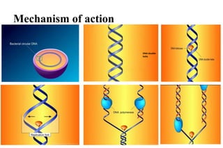 Mechanism of action
7
DNA double
helix
 