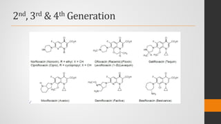 2nd, 3rd & 4th Generation
 