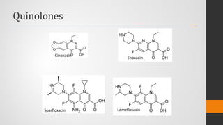 Quinolones
LomefloxacinSparfloxacin
Enoxacin
Cinoxacin
 