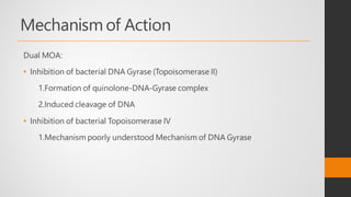 Mechanism of Action
Dual MOA:
• Inhibition of bacterial DNA Gyrase (Topoisomerase II)
1.Formation of quinolone-DNA-Gyrase complex
2.Induced cleavage of DNA
• Inhibition of bacterial Topoisomerase IV
1.Mechanism poorly understood Mechanism of DNA Gyrase
 