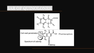 MEDICINAL CHEMISTRY OF QUINOLONES.pptx