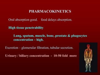 PHARMACOKINETICS
Oral absorption good. food delays absorption.
High tissue penetrability
Lung, sputum, muscle, bone, prostate & phagocytes
concentration – high.
Excretion – glomerular filtration, tubular secretion.
Urinary / biliary concentration - 10-50 fold more
 