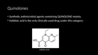 Comprehensive Overview of Quinolones and Fluoroquinolones in ...