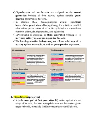 Quinolones & fluoroquinolones | PDF