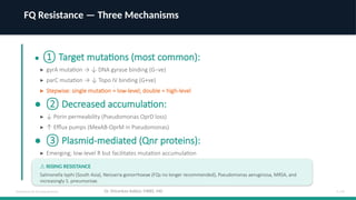 Comprehensive Guide to Quinolones & Fluoroquinolones: Mechanism ...