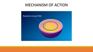 MECHANISM OF ACTION
 