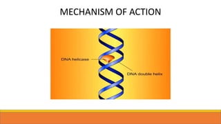 MECHANISM OF ACTION
 