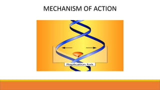MECHANISM OF ACTION
 