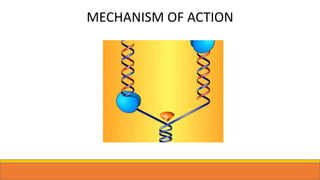MECHANISM OF ACTION
 