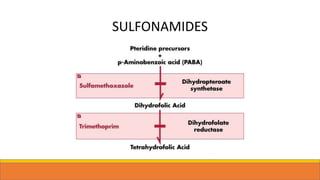 SULFONAMIDES
 