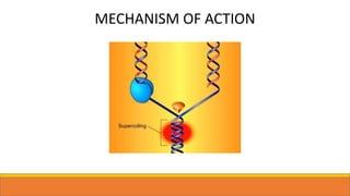 MECHANISM OF ACTION
 