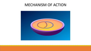 MECHANISM OF ACTION
 