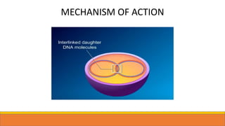 MECHANISM OF ACTION
 