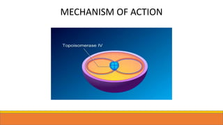 MECHANISM OF ACTION
 
