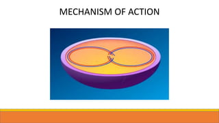 MECHANISM OF ACTION
 
