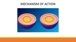 MECHANISM OF ACTION
 