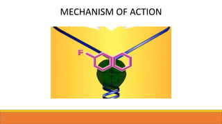 MECHANISM OF ACTION
 
