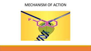 MECHANISM OF ACTION
 