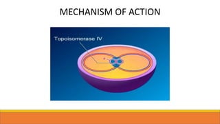 MECHANISM OF ACTION
 