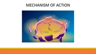MECHANISM OF ACTION
 