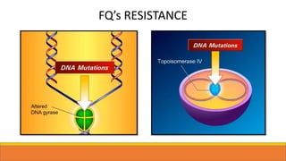 FQ’s RESISTANCE
 