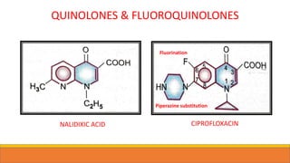QUINOLONES & FLUOROQUINOLONES
CIPROFLOXACINNALIDIXIC ACID
Fluorination
Piperazine substitution
 