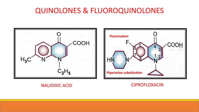 Quinolones & Fluoroquinolones | PPTX | Infectious Diseases | Diseases ...