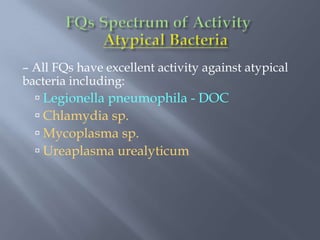 – All FQs have excellent activity against atypical
bacteria including:
 Legionella pneumophila - DOC
 Chlamydia sp.
 Mycoplasma sp.
 Ureaplasma urealyticum
 