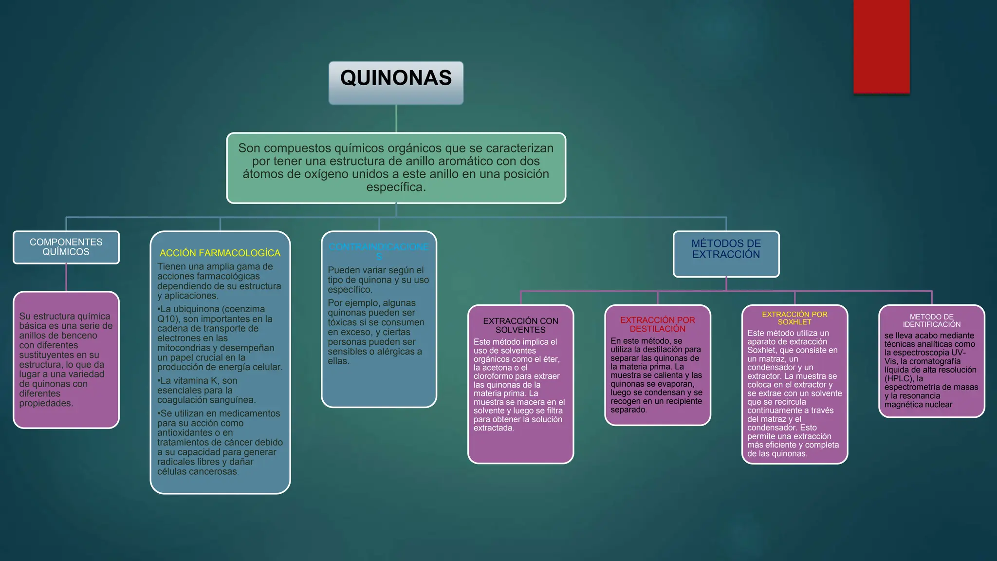 QUINONAS.pptx
