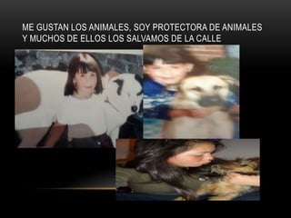 ME GUSTAN LOS ANIMALES, SOY PROTECTORA DE ANIMALES
Y MUCHOS DE ELLOS LOS SALVAMOS DE LA CALLE
 