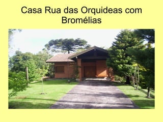 Casa Rua das Orquideas com Bromélias 